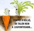 /album/fenykepgaleria/a1234867-642732815764109-1790743262-n-jpg/