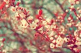 /album/fenykepgaleria/a1393761289-spring-is-my-love-by-katherine-deathmouse-d3ft7jq-jpg/